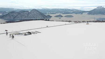 旬の野菜詰め合わせ ～ありがとうBOX2026・大～ 12月1日～1月31日頃お届け 先行予約 北海道 野菜 やさい 詰め合わせ セット 北海道産 常備菜 加工品 自然栽培 佐々木ファーム 産地直送 