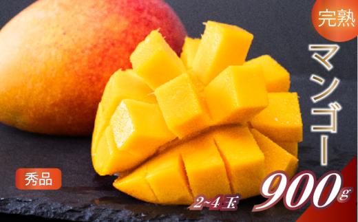 【早期予約】《2026年5月中旬から発送》マンゴー 秀品 2~4玉(L) 900g以上 果物 完熟 フルーツ 南国 完熟マンゴー 期間限定 ギフト 贈答用 ふるさと納税マンゴー 甘味 デザート 甘い 産地直送 ご褒美 お中元 高知県 須崎市 SKN002_x