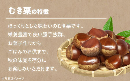 【先行予約】【9月上旬より順次発送】ほくほく甘いお徳用ムキ栗 1.2kg（真空パック）　愛媛県大洲市/沢井青果有限会社 [AGBN034]栗くり栗ごはん栗くり栗ごはん栗くり栗ごはん栗くり栗ごはん栗くり