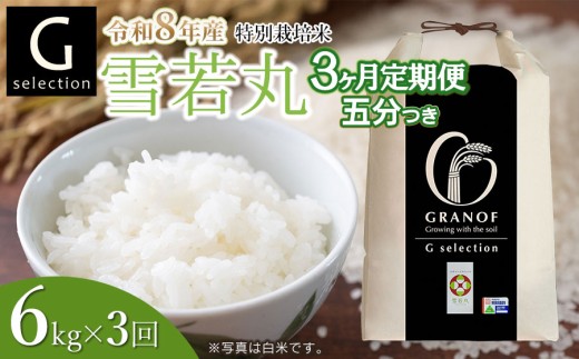 【令和8年産先行予約】【定期便3ヶ月】 特別栽培米 Gセレクション 雪若丸「五分つき」 6kg (6kg×1)×3ヶ月 山形県鶴岡市産　株式会社グラノフ