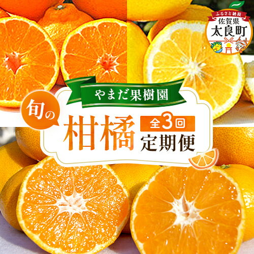 【ふるさと納税】【3回定期便】やまだ果樹園の柑橘定期便　みかん ミカン 蜜柑 たらみかん 太良みかん 柑橘 国産 フルーツ 果物 くだもの 果実 ビタミン豊富 爽やか 甘い 濃厚 贈答品 贈り物 定期便 定期 佐賀県 太良町 Q63x1 【2026年12月上旬-2027年3月上旬発送予定】