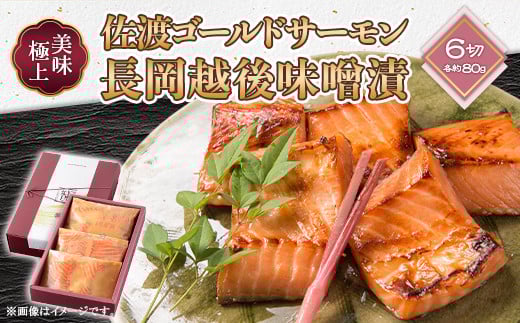 
            66-16美味極上　佐渡ゴールドサーモンの長岡越後味噌漬 6切入
          
