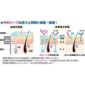 【保湿洗顔フォーム(顔・体)】RIMソープ-S(据置タイプ)【1209129】