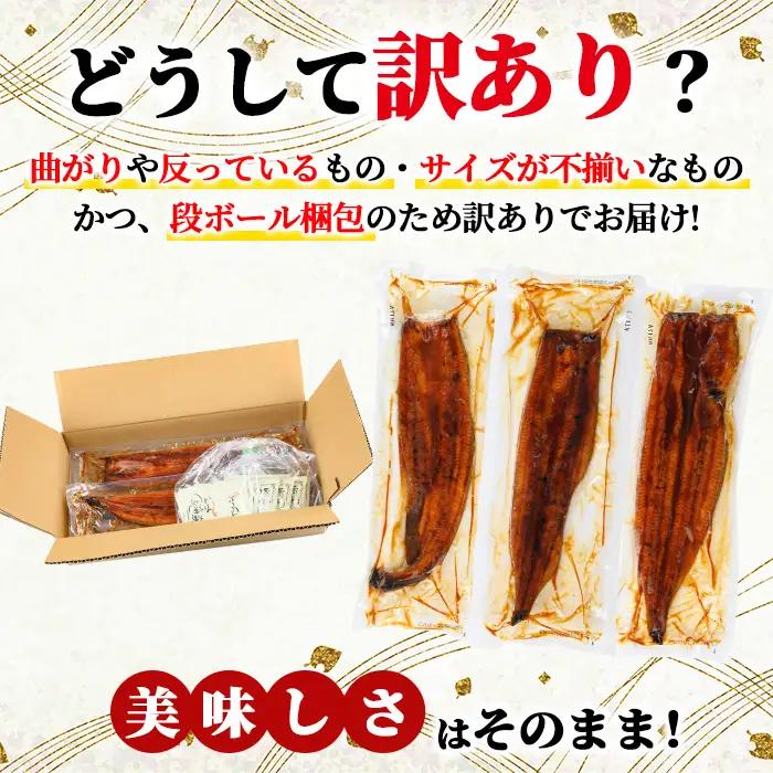 ＜訳あり＞ 無投薬！ 鹿児島県産 うなぎ 蒲焼 セット(計800g・尾数不定) 鰻 きざみ 冷凍【西日本養鰻】A1162