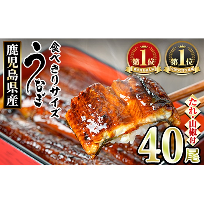 【1434330a】＜食べきりサイズ！＞東串良町のうなぎ蒲焼(無頭)(40尾・計4000g・タレ、山椒付) うなぎ 高級 ウナギ 鰻 国産 蒲焼 蒲焼き たれ 鹿児島 ふるさと 人気 【アクアおおすみ】