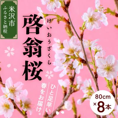 ふるさと納税 米沢市 【先行受付】 啓翁桜 ( けいおうざくら ) 80cm×8本 切り花