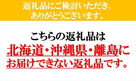 くさぶえ農園　季節の野菜セット（おまかせ6～8品目）　高原野菜　無農薬　新鮮　旬　簡単レシピ〈2024年7月1日出荷開始～2025年3月31日出荷終了〉【有機野菜 有機栽培　くさぶえ農園　農薬や化学肥