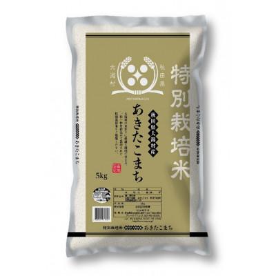 ふるさと納税 大潟村 【令和7年産】特別栽培米 あきたこまち 5kg 精米◆秋田県大潟村