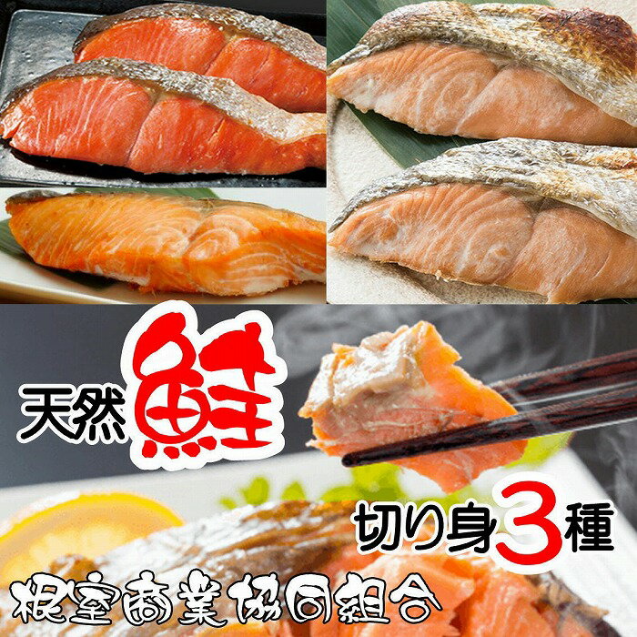 【ふるさと納税】天然鮭切り身3種(秋鮭・時鮭・紅鮭) 選べる 計3P 計5P 北海道 根室市 鮭 さけ サケ 魚