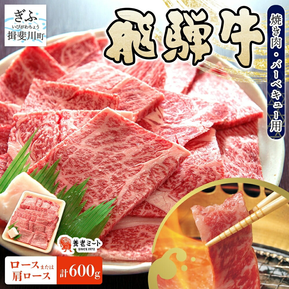 【ふるさと納税】飛騨牛 ロース 肩ロース 焼肉 BBQ用 計600g 霜降り サシ 和牛 黒毛和牛 国産 国産牛 肉 牛肉 赤身 高級肉 グルメ バーベキュー お取り寄せ 送料無料 冷凍 養老ミート 岐阜県 揖斐川町