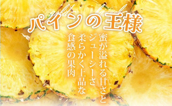 【先行予約】《2025年夏季 順次発送》ゴールドバレルパイン大玉２個入り 計3.4kg　SI-39