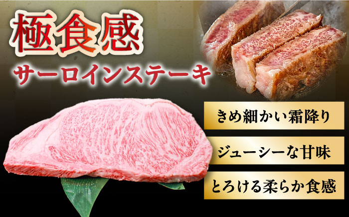 ステーキ 約500g × 2枚 肉 長崎和牛 サーロイン / 南島原市 / 島原雲仙農業協同組合 [SES002]