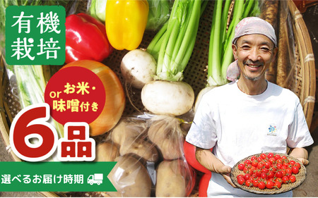 《期間限定》無農薬栽培 受賞農家 野菜セット 6品 自家製お味噌とお野菜のレシピ付き [Q234re]