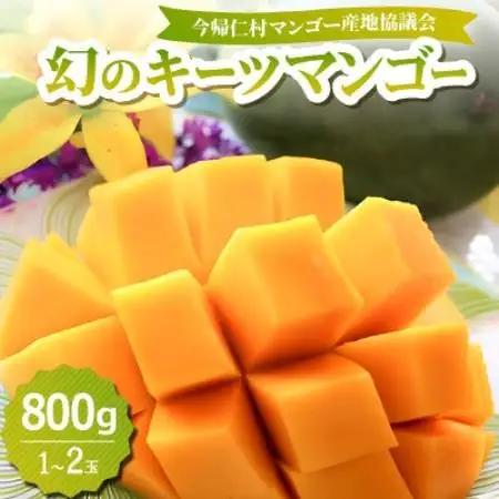 【2026年8月中旬から順次発送】今帰仁産の幻のキーツマンゴー800g(1～2玉)【配送不可地域：離島】【4014738】