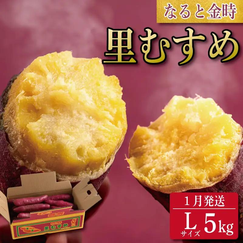 なると金時 Lサイズ 5kg 1月発送 さつまいも なると金時