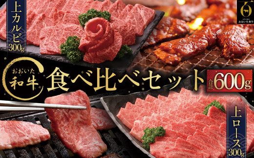 おおいた和牛食べ比べセットA【合計600ｇ】 G13