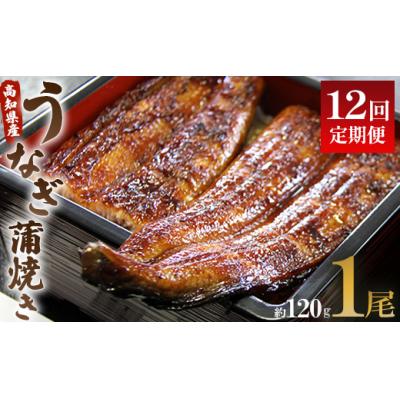ふるさと納税 香南市 【12回定期便】うなぎ蒲焼き120g 1尾(無頭) Wun-0022