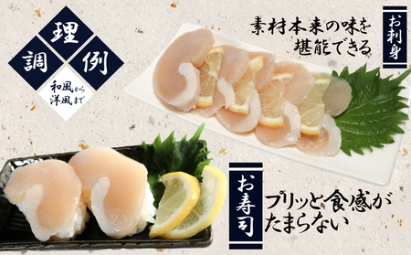 愛知県産平貝(タイラギ)3個 [配送不可地域：離島]