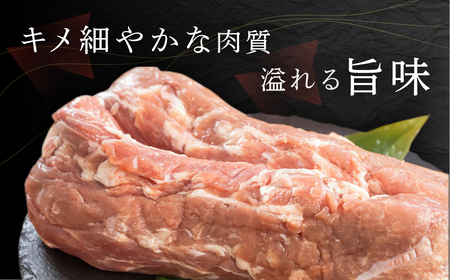 訳あり 国産 豚肉 食べ比べ 2本 ヒレ ブロック 冷凍 瓜生豚 小分け 簡易包装 訳あり ぶた 贈り物 ギフト お取り寄せ お取り寄せグルメ 食品 送料無料 産地直送 冷凍 瓜生 19000円