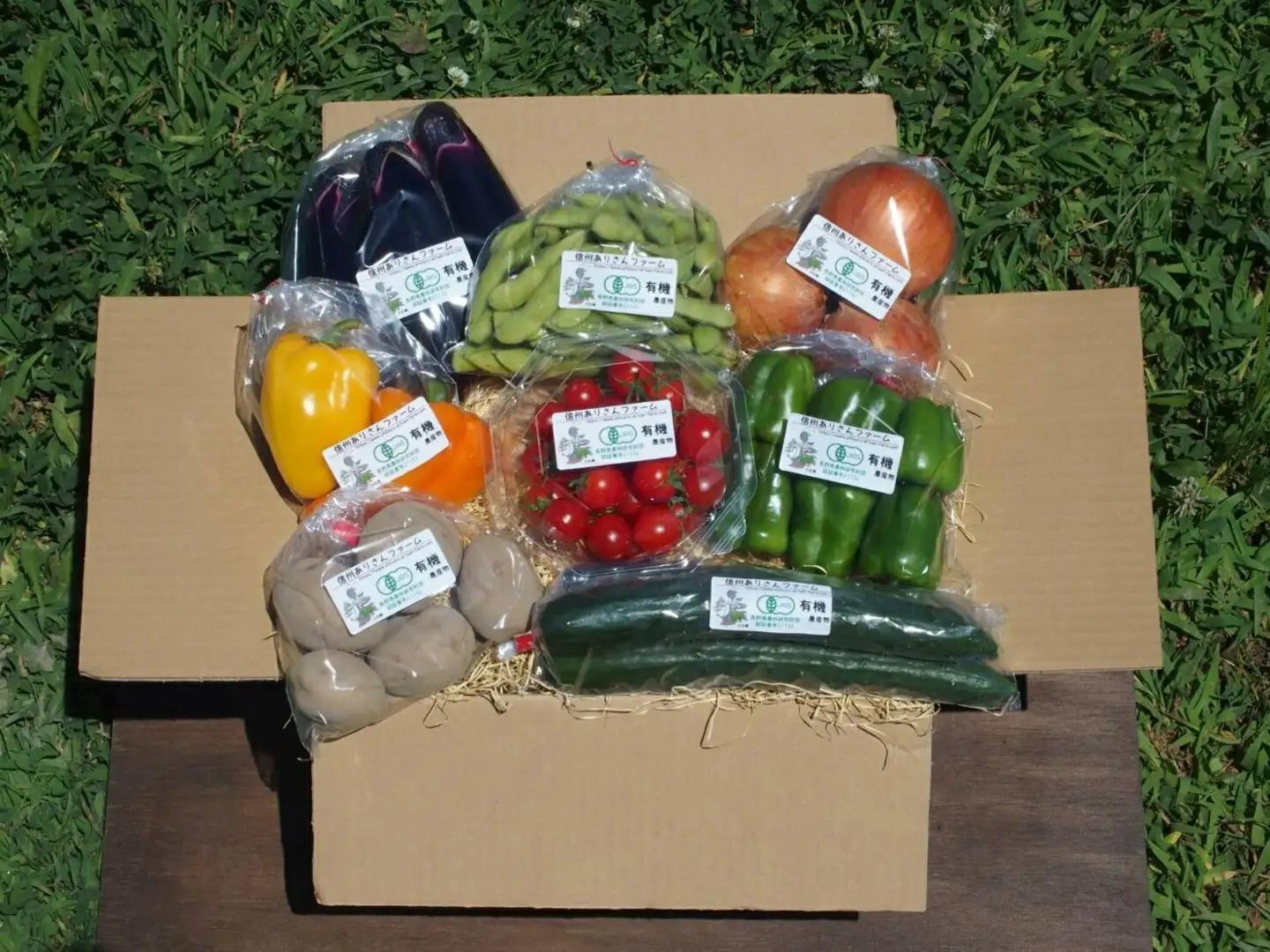 信州ありさんファーム 旬の野菜 7~9品 夏版 【有機JAS認証】|有機野菜 野菜