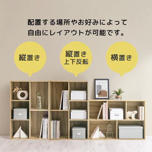 【完成品でお届け】多目的ラック（ブラック）本棚 スリム コミック 収納 カラーボックス 薄型 収納棚 横置き ラック 木製 書棚 コミック棚 雑誌 a4 cd dvd 2段 3段 AKANBR9200