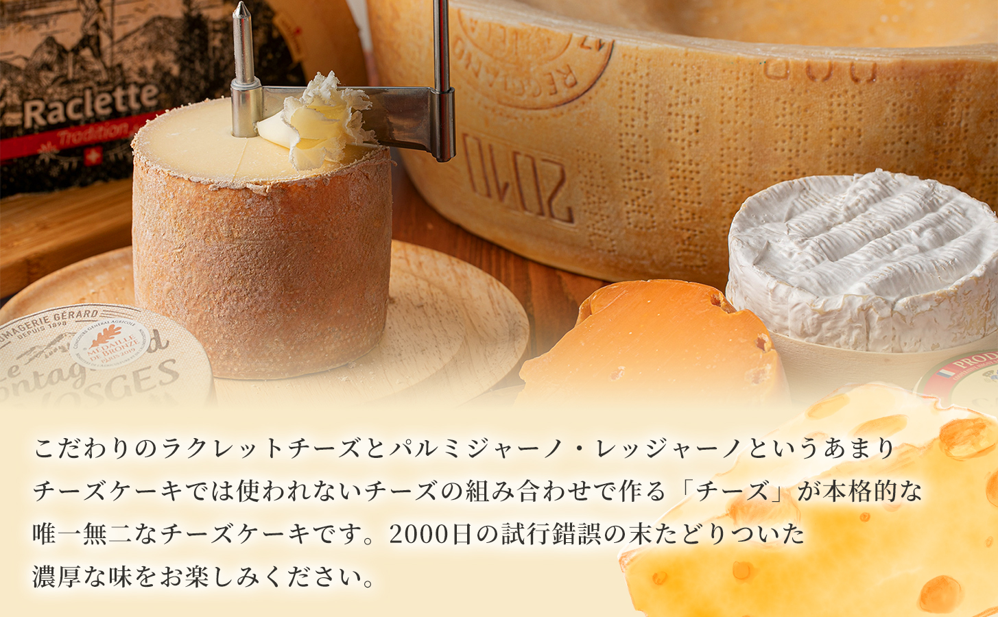 ハチミツをかけて完成する濃蜜チーズケーキ 1セット 定期便 12ヶ月 《30日以内に出荷予定(土日祝除く)》CALMATI 和歌山県 岩出市 ケーキ チーズケーキ チーズ スイーツ デザート お菓子 