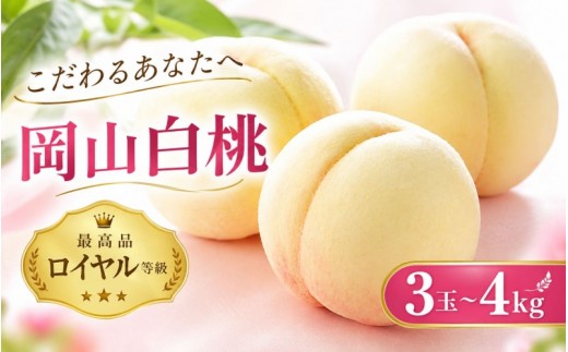 【2027年先行予約】岡山白桃＜光センサー選別＞最上級品《ロイヤル等級》容量 3玉600g糖度12度以上 品種お任せ ｜ 桃 もも 白桃 果物 くだもの フルーツ 岡山県産 贈答 ギフト momo【mrts012-01】