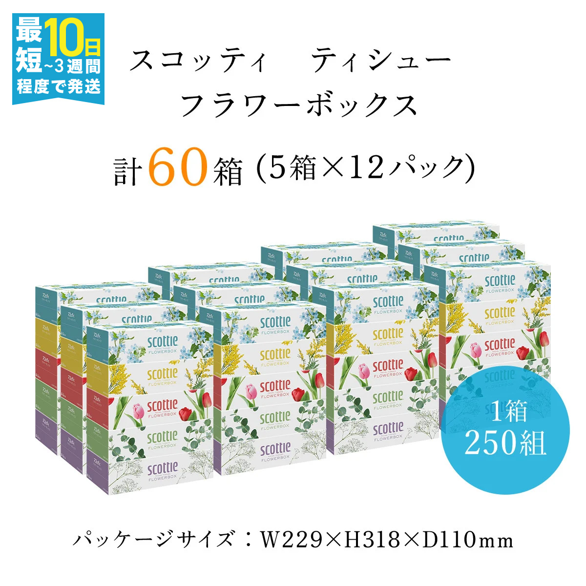 【ボックスティッシュ】スコッティティシューフラワーボックス250組60箱(1ケース5箱×12パック) FCAS004