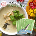 【ふるさと納税】＜チョウザメ肉を使った宮崎県のご当地カレー＞ みやざきのグリーンカレー　5個セット 大人の辛さ 本格辛口 グリーンカレー チョウザメ肉 タケノコ エノキ 宮崎県 宮崎市 送料無料