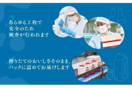 中央製乳 中央コーヒー 1年 定期便 1L 6本 計6L