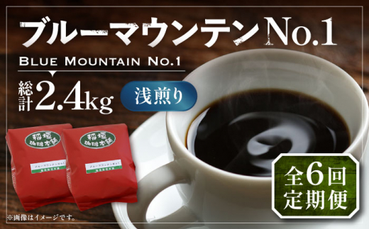 【豆でお届け】【全6回定期便】ブルーマウンテン NO.1 コーヒー ( 浅煎り ) 《豊前市》【稲垣珈琲】 珈琲 コーヒー 豆 粉 [VAS150]