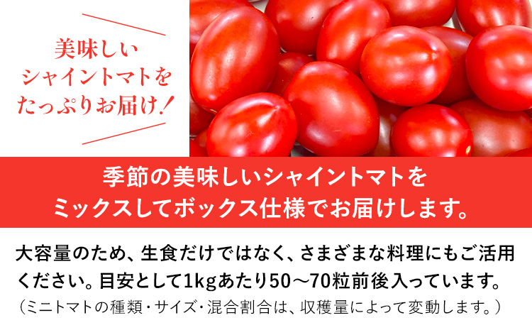 シャイントマト 1kg シャイントマトファーム《1月中旬-6月中旬頃出荷》岡山県 笠岡市 送料無料 トマト 野菜 ミニトマト【配送不可地域あり】---S-13---