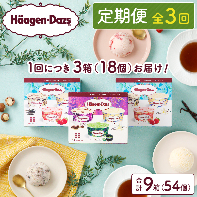 ＜全3回定期便・連続＞ハーゲンダッツ『アソートボックス3箱セット(合計9箱)』アイスクリーム アイス スイーツ デザート_H0026-035-n