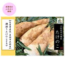 【ふるさと納税】＜先行予約＞【生産者直送・貝塚市木積産】朝掘りたけのこ2kg