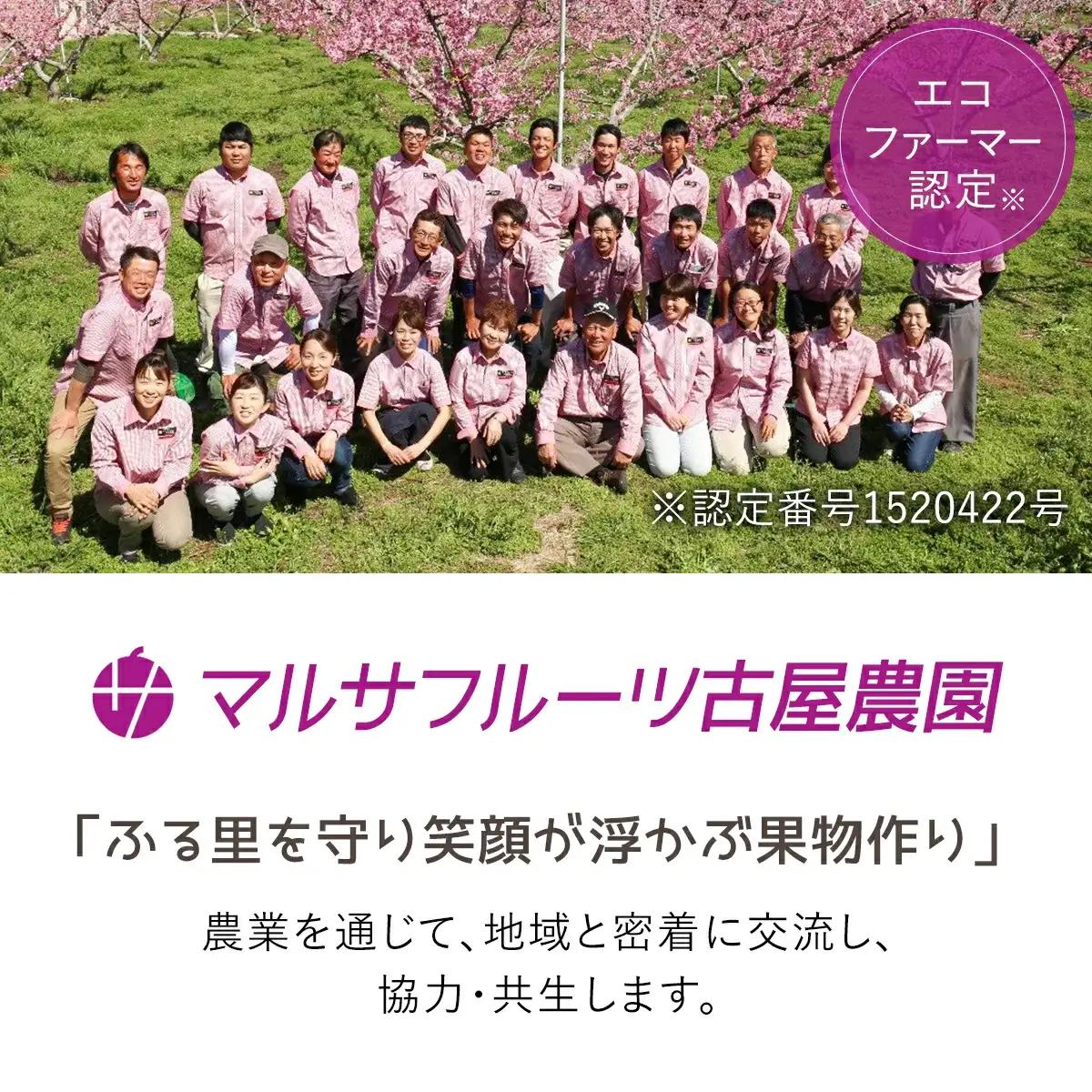 マルサフルーツ古屋農園 ももじゅーす ぶどうじゅーす 3本ずつ6本セット 砂糖不使用 無着色 山梨 笛吹市 桃 モモ フルーツ ジュース ぶどう ブドウ ※常温配送 ※沖縄県・離島への発送不可　088