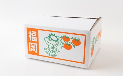 【先行予約】伊藤園 冷蔵富有柿 （3Lサイズ） 12玉から14玉 約5kg 【2025年12月中旬から12月下旬出荷予定】 ／ 富有柿 柿 果物 フルーツ くだもの うきは市