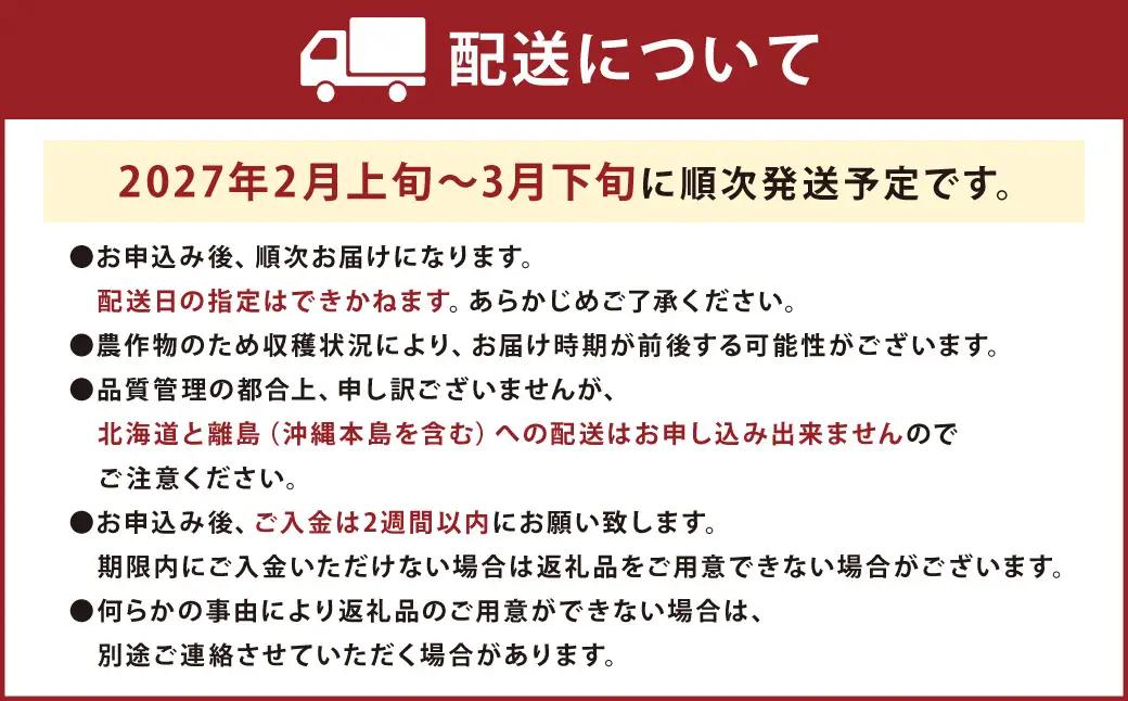 福岡産【春】あまおう4パック いちご 苺 イチゴ 果物 くだもの フルーツ 冷蔵 【2027年2月上旬～3月下旬発送予定】