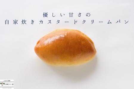 北八ヶ岳山麓の美味しい水と国産小麦で作る、毎日食べたいパンセット　12カ月定期便〔TB-12〕
