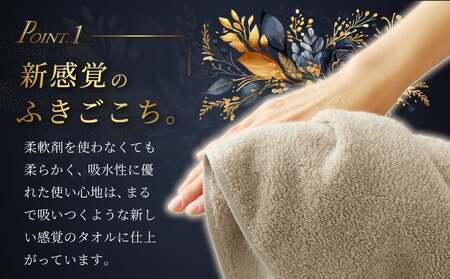 Landwell Hotel バスタオル グレー 5枚 【タオル 泉州タオル 単色 吸水 普段使い 無地 シンプル 日用品 ふわふわ ふかふか 家族 ファミリー】