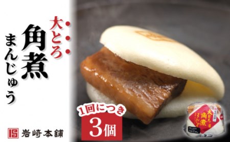 【3回定期便】角煮まんじゅう 2種＆角煮まぶし 各3個 計27個 / 長崎 お手軽 角煮 豚角煮 つまみ おかず まんじゅう角煮まん  長崎角煮まんじゅう 角煮饅頭 【株式会社岩崎食品】[OCT006