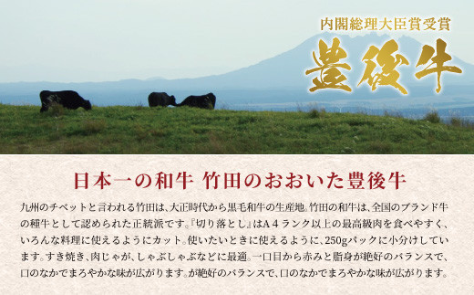 正統派黒毛和牛 おおいた豊後牛 切り落とし 500g