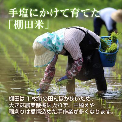 ふるさと納税 十日町市 棚田米 魚沼産 コシヒカリ 5kg 新潟県 十日町市 松代地区限定米 |  | 02