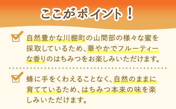 はちみつ 百花蜜 500g / 蜂蜜 国産 とんがり容器 入り 長崎県 川棚町産 【小佐々養蜂場】 [OCY001]