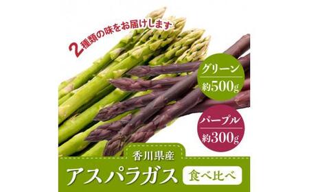 グリーン(約500g)・パープル(約300g)アスパラガス食べ比べセット【2024年3月上旬～2024年9月下旬配送】【T006-303】