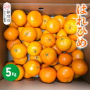 【ふるさと納税】【2025年12月上旬より発送開始】はれひめ 5kg【みかん オレンジ 柑橘 フルーツ デザート さっぱり リフレッシュ】(H116151)