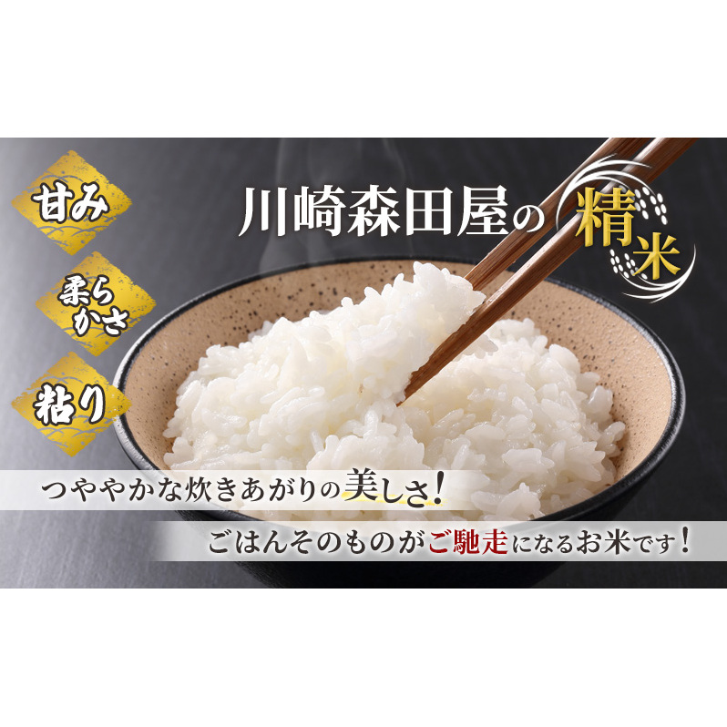 米 定期便 6ヵ月 ゆめぴりか 無洗米 10kg 白米 精米 産地直送 お米 単一原料米 ブランド米 特A米 特A 10キロ 北海道産 ご飯 ごはん こめ 送料無料 令和7年産 北海道 芦別 芦別市 