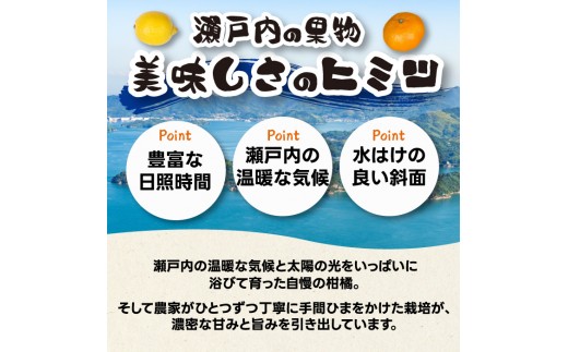 【先行受付】石地みかん2kg 2026年12月発送予定 柑橘 ミカン 果物 くだもの フルーツ 瀬戸内 251021