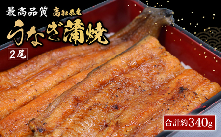 うなぎ蒲焼 約170g×2尾 高知県産 最高品質 合計約340g たれ 山椒 国産 鰻 かば焼 土佐焼 うな丼 うな重