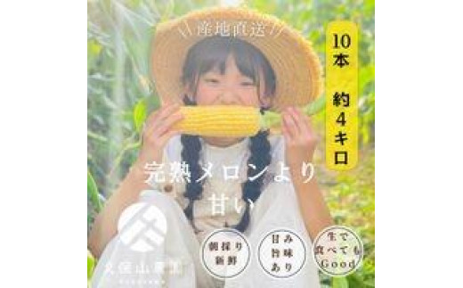 
            ＜2026年6月発送＞【完熟メロンのように甘い】朝採り!スイートコーン　約4kg（8～10本）【プレゼントにもオススメ】
          