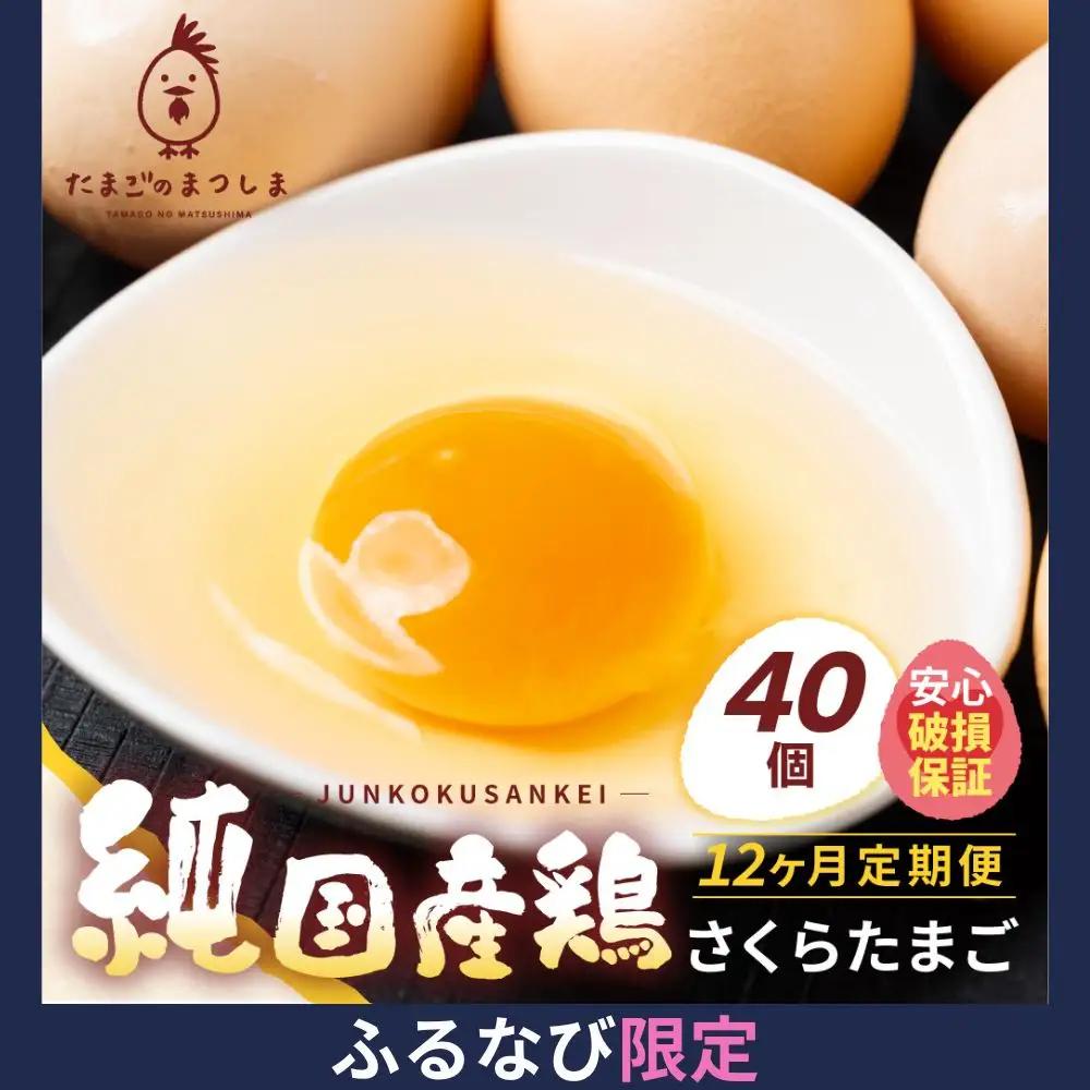 【定期便 12ヶ月】純国産鶏さくらたまご 40個｜定期便 FN-Limited-PR